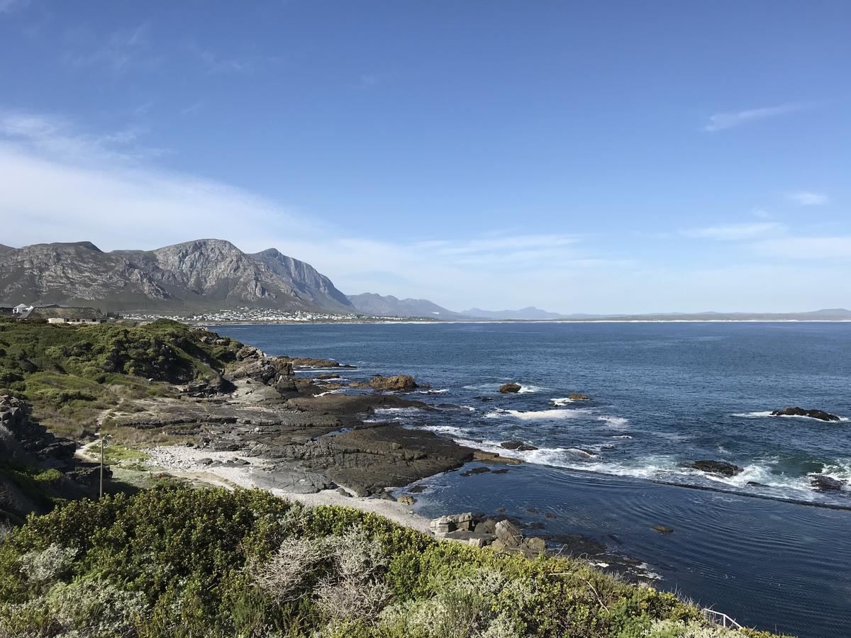 Francolin Manor Bed & Breakfast Hermanus Dış mekan fotoğraf