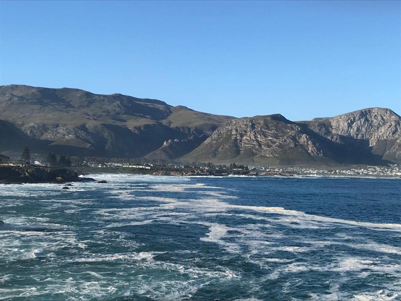 Francolin Manor Bed & Breakfast Hermanus Dış mekan fotoğraf