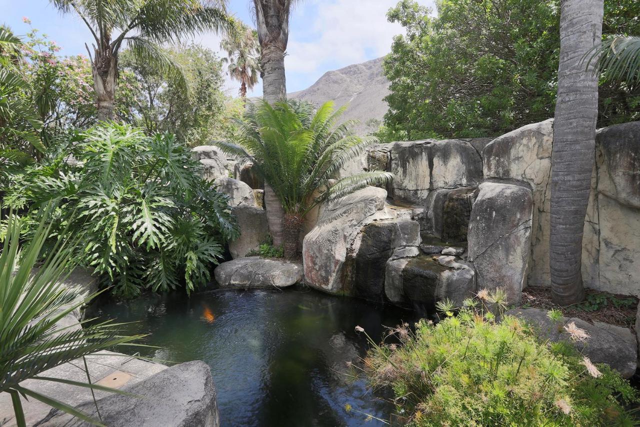Francolin Manor Bed & Breakfast Hermanus Dış mekan fotoğraf