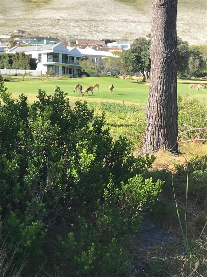 Francolin Manor Bed & Breakfast Hermanus Dış mekan fotoğraf