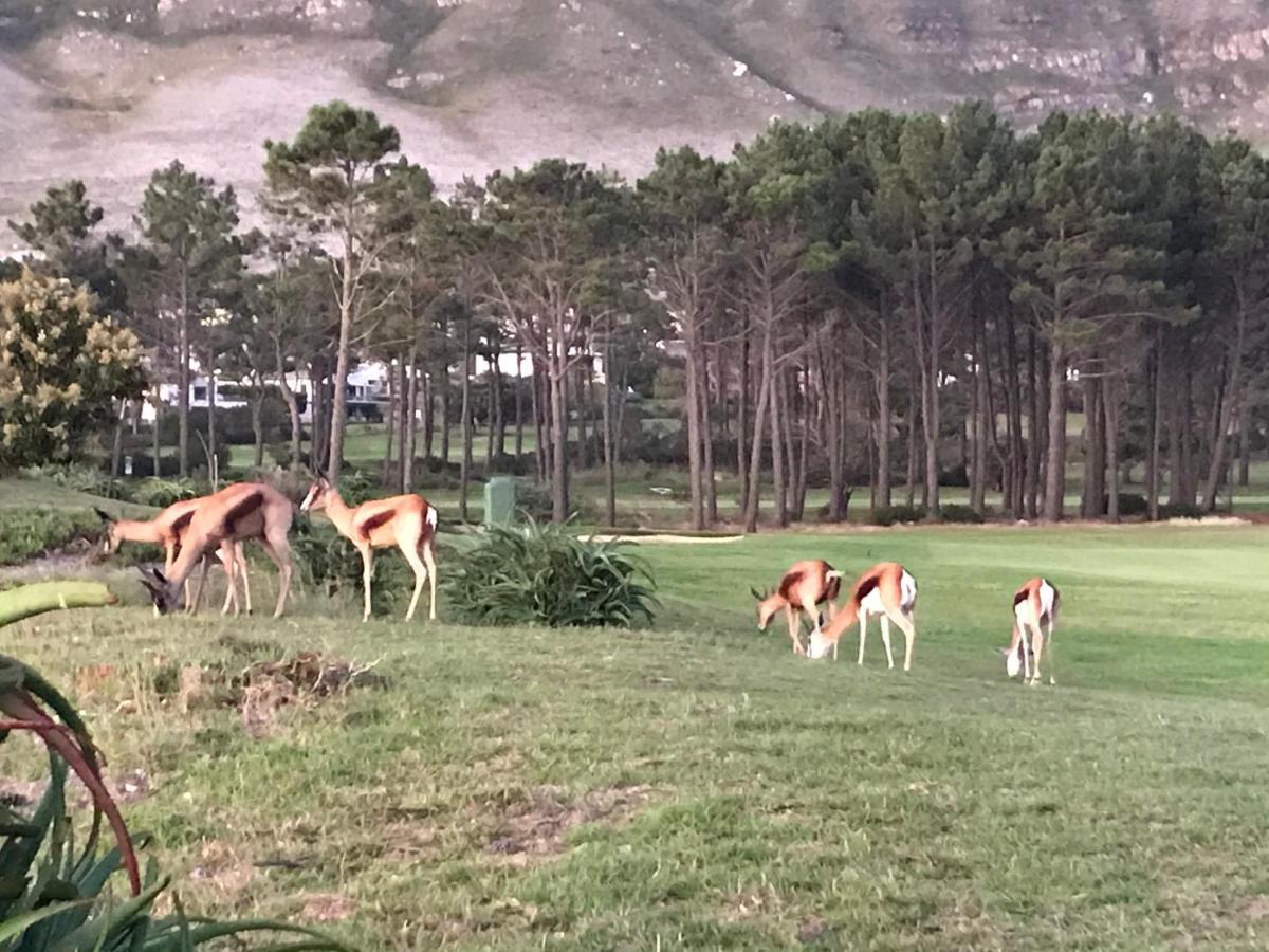 Francolin Manor Bed & Breakfast Hermanus Dış mekan fotoğraf